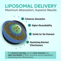 ECHEDEN NAD+ bottle with liposomal emphasis for better absorption