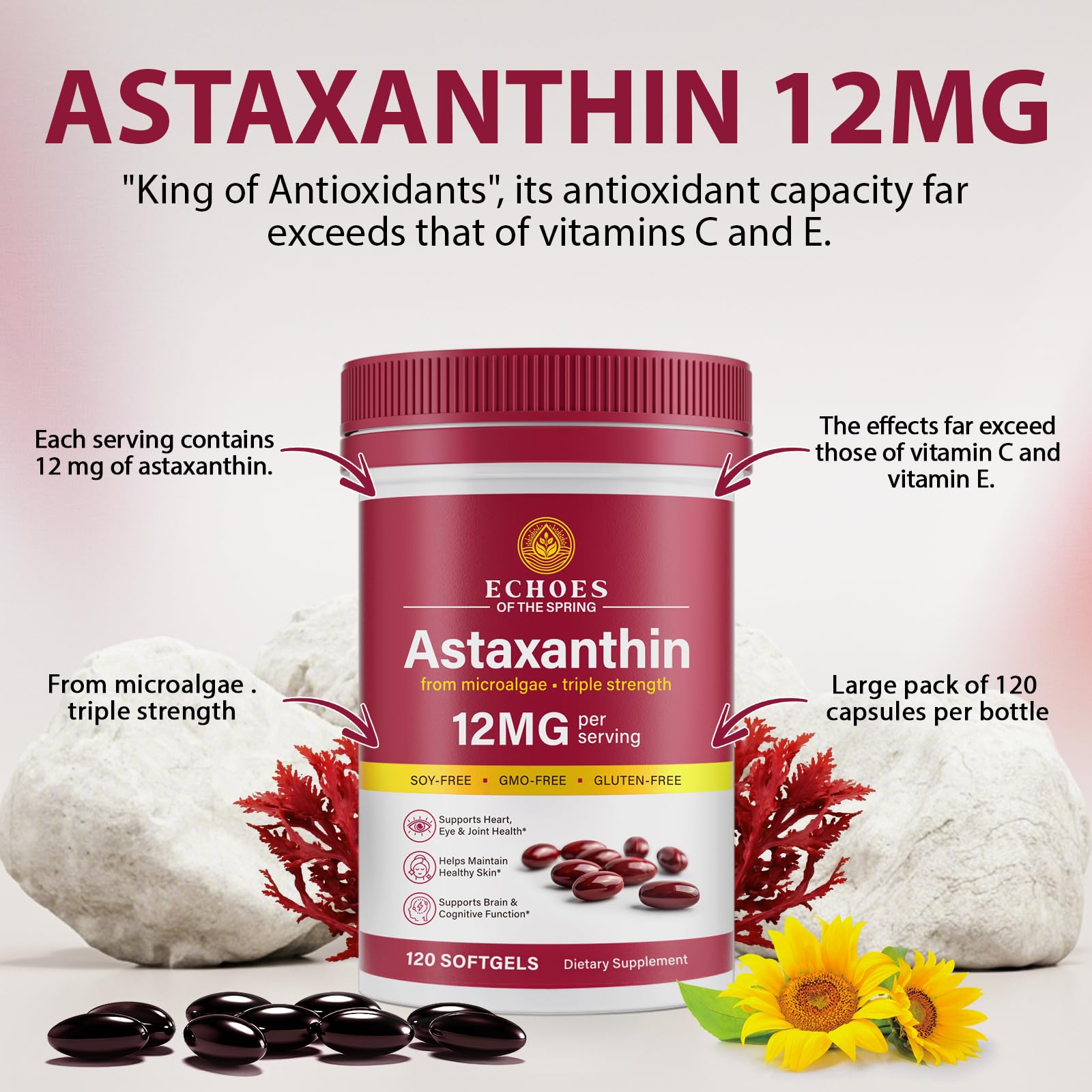 Echoes of the Spring astaxanthin daily routine scene encouraging consistency