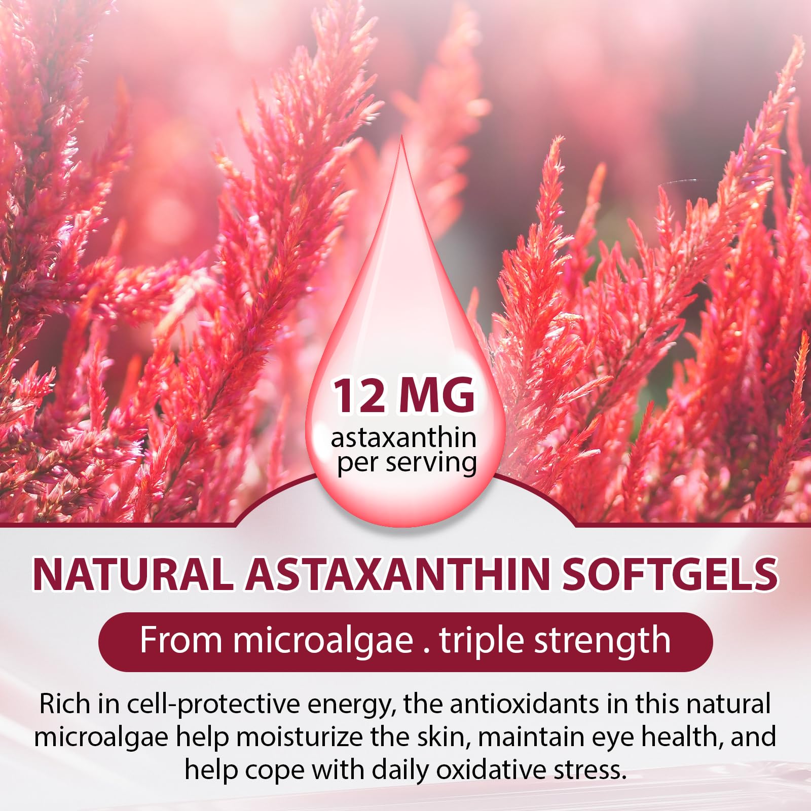 Echoes of the Spring astaxanthin label detail showing natural Haematococcus pluvialis source