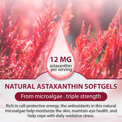 Echoes of the Spring astaxanthin label detail showing natural Haematococcus pluvialis source