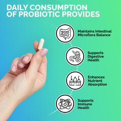 EchoHeals Ceuticals acidophilus probiotic capsules easy to swallow for daily use.