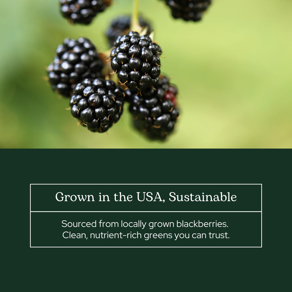 Eclectic Institute Blackberry Powder bottle with fresh herbs for everyday wellness.