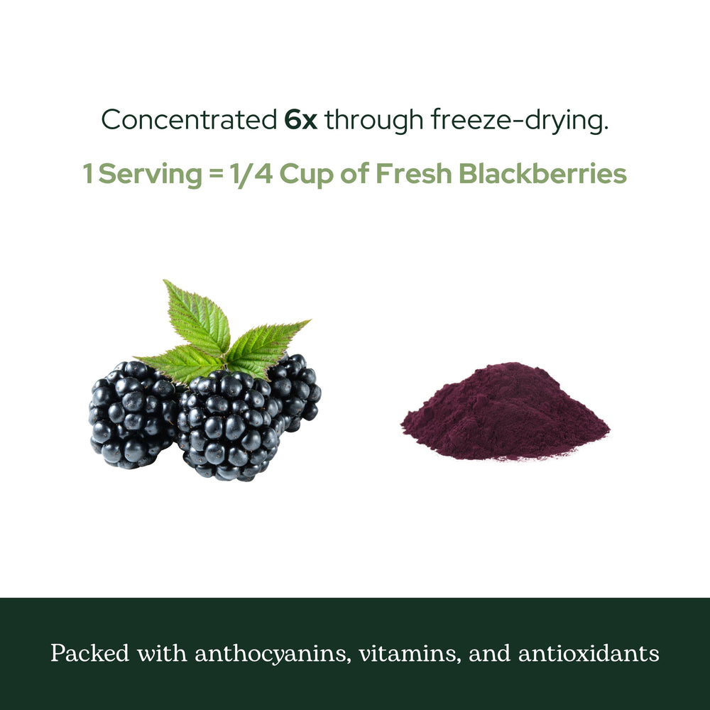 Eclectic Institute Blackberry Powder added to smoothie for nutrient boost.
