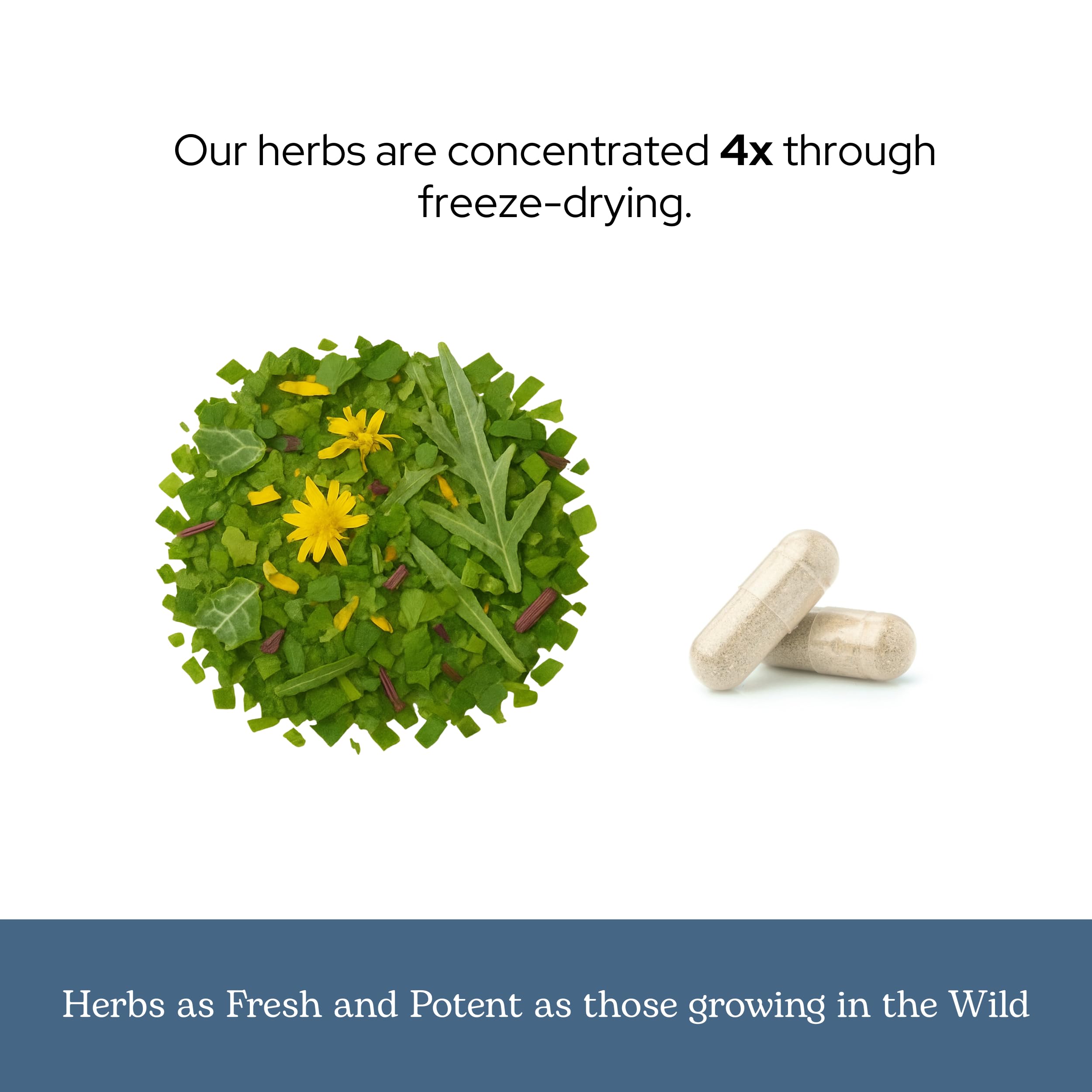 Eclectic Institute concentrated formula for efficient daily supplementation.