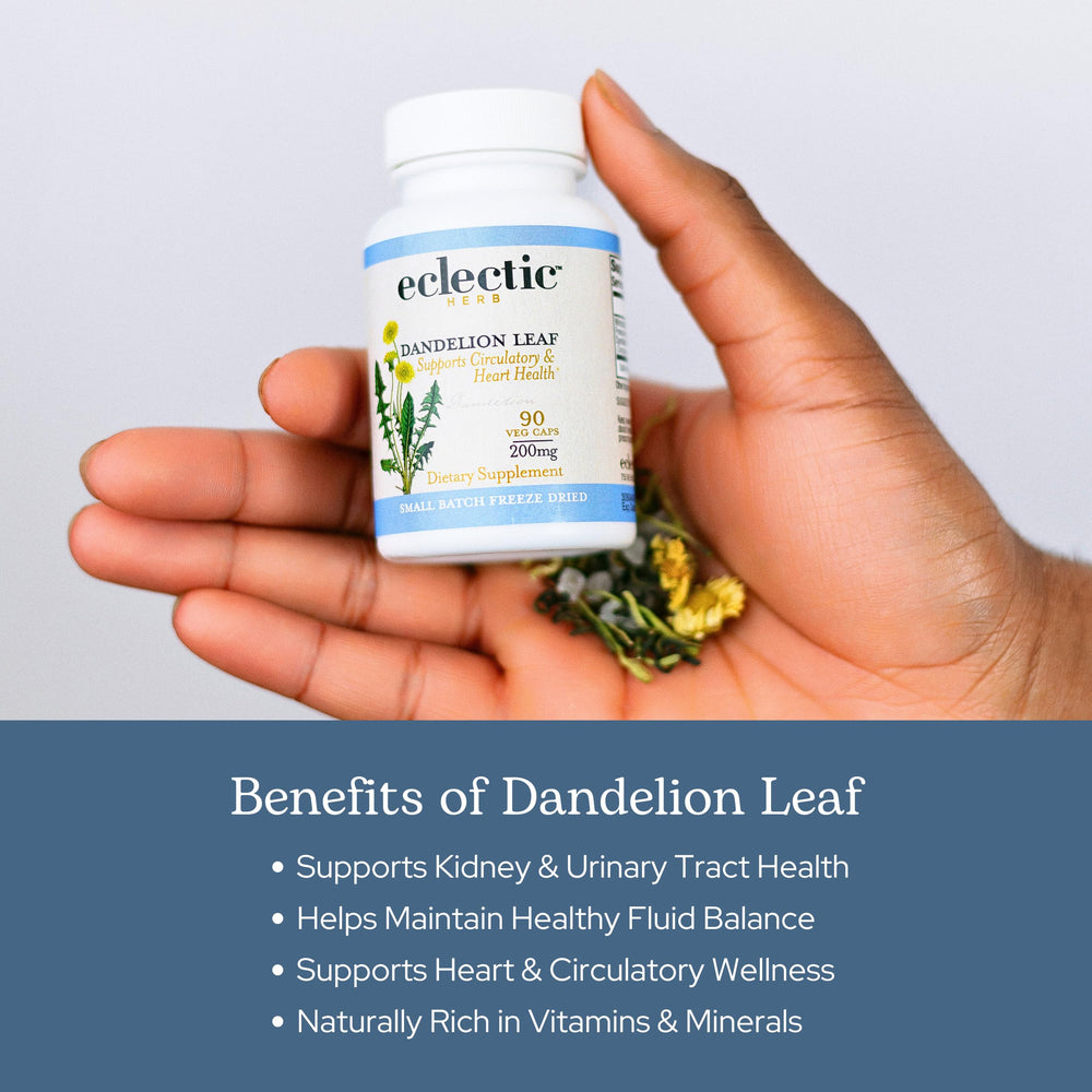 ECLECTIC INSTITUTE Dandelion Leaf Capsules label design and branding.