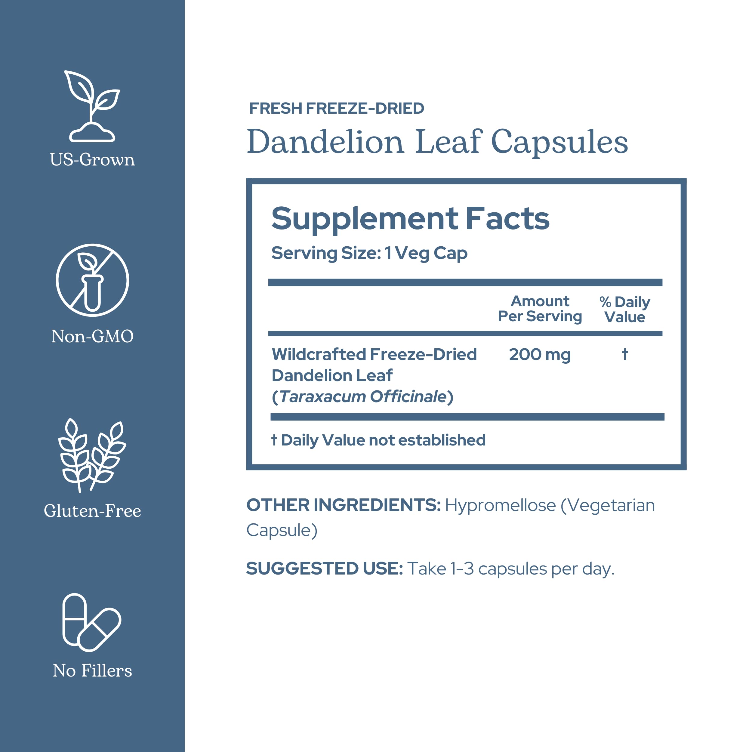ECLECTIC INSTITUTE Dandelion Leaf Capsules packaging label highlights organic quality.
