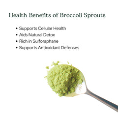 Eclectic Institute drink mix with broccoli sprouts for antioxidant-friendly daily boosts