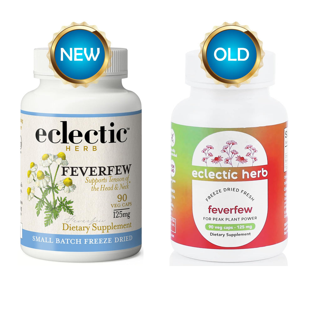 Eclectic Institute Feverfew capsules being poured for daily tension support.