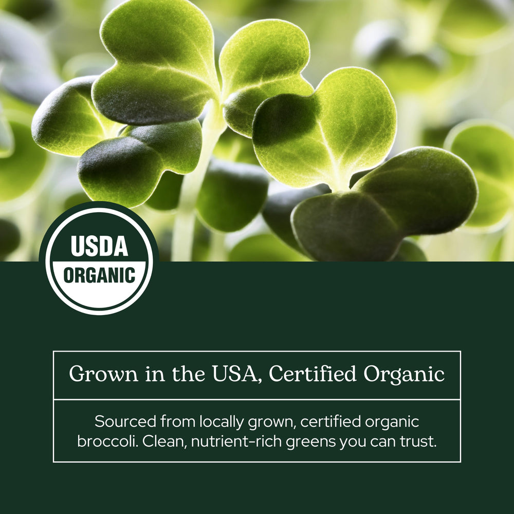 Eclectic Institute green superfood powder close-up highlighting preserved nutrients