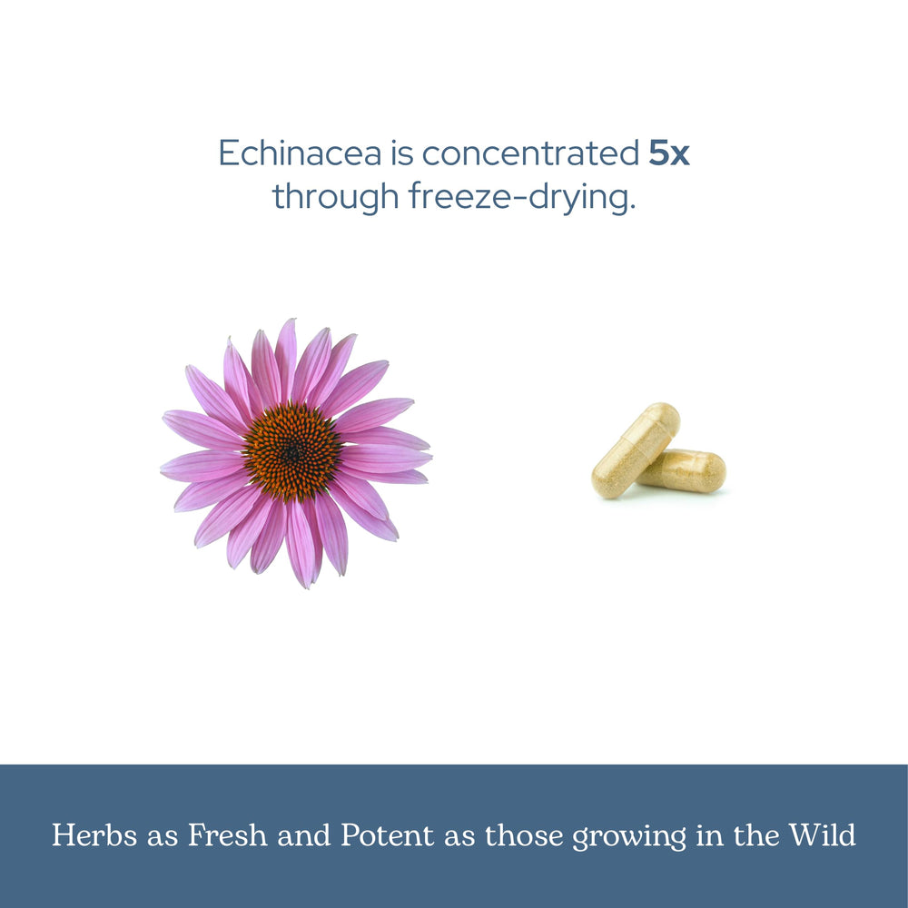 ECLECTIC INSTITUTE lab-tested potency note reflects quality control.