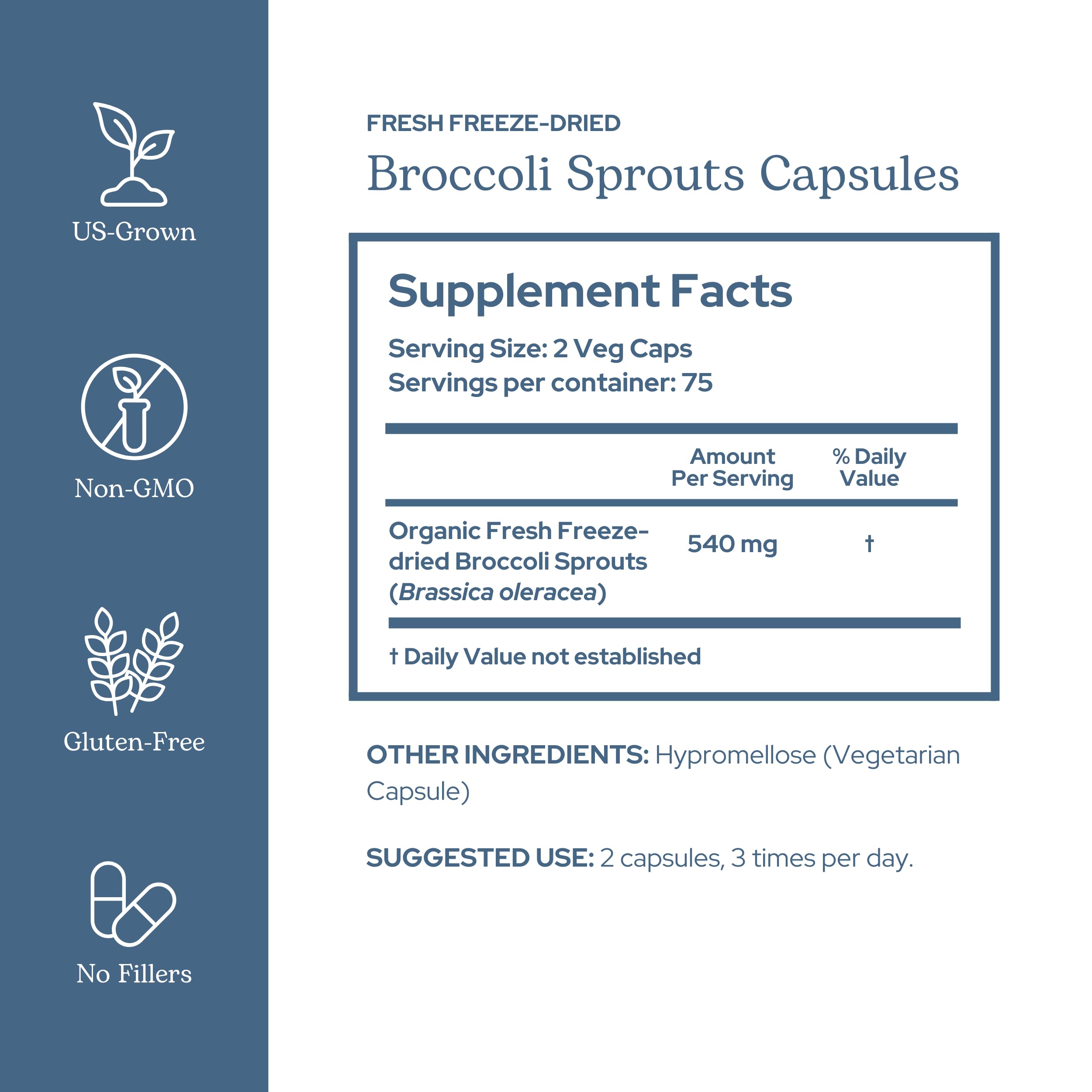 Eclectic Institute label closeup showing broccoli sprouts ingredients and clean sourcing.