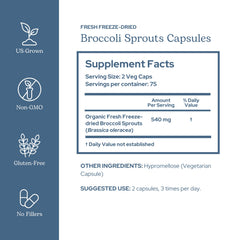Eclectic Institute label closeup showing broccoli sprouts ingredients and clean sourcing.