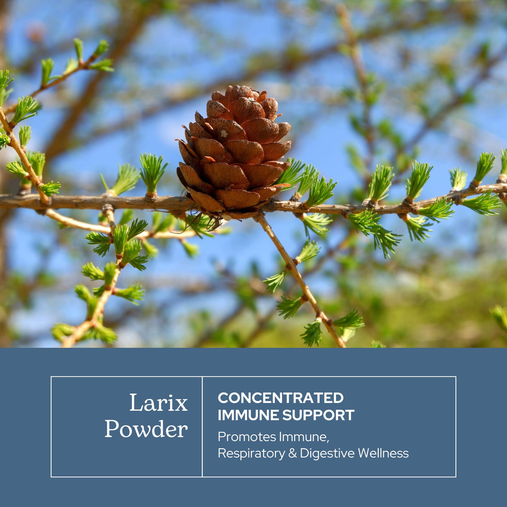 Eclectic Institute Larix powder with scoop highlighting convenient measuring