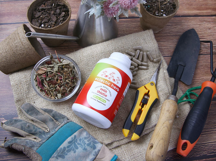 Eclectic Institute milk thistle supports everyday health rituals.