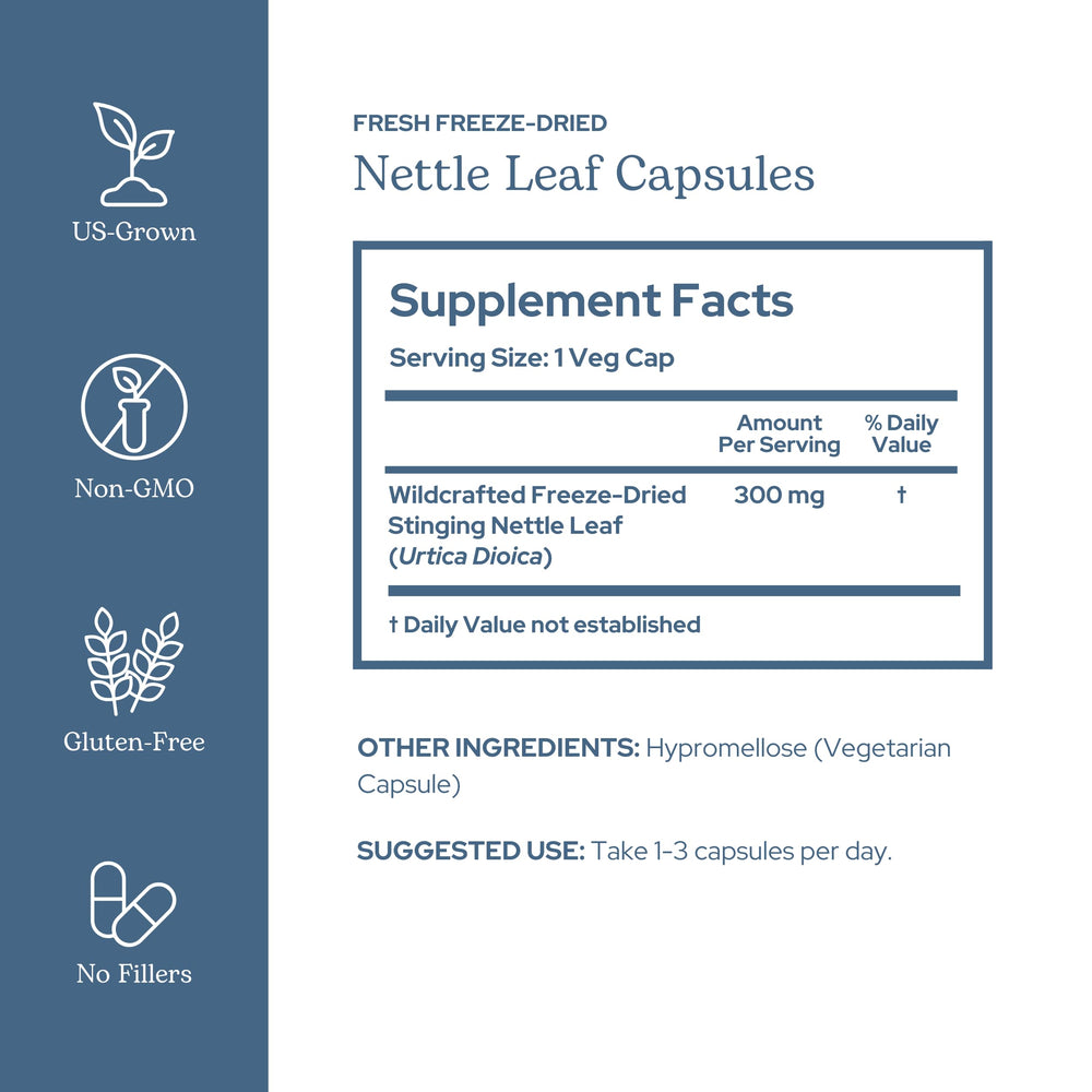 Eclectic Institute nettle leaf capsules close-up highlighting freeze-dried nettles for minerals.