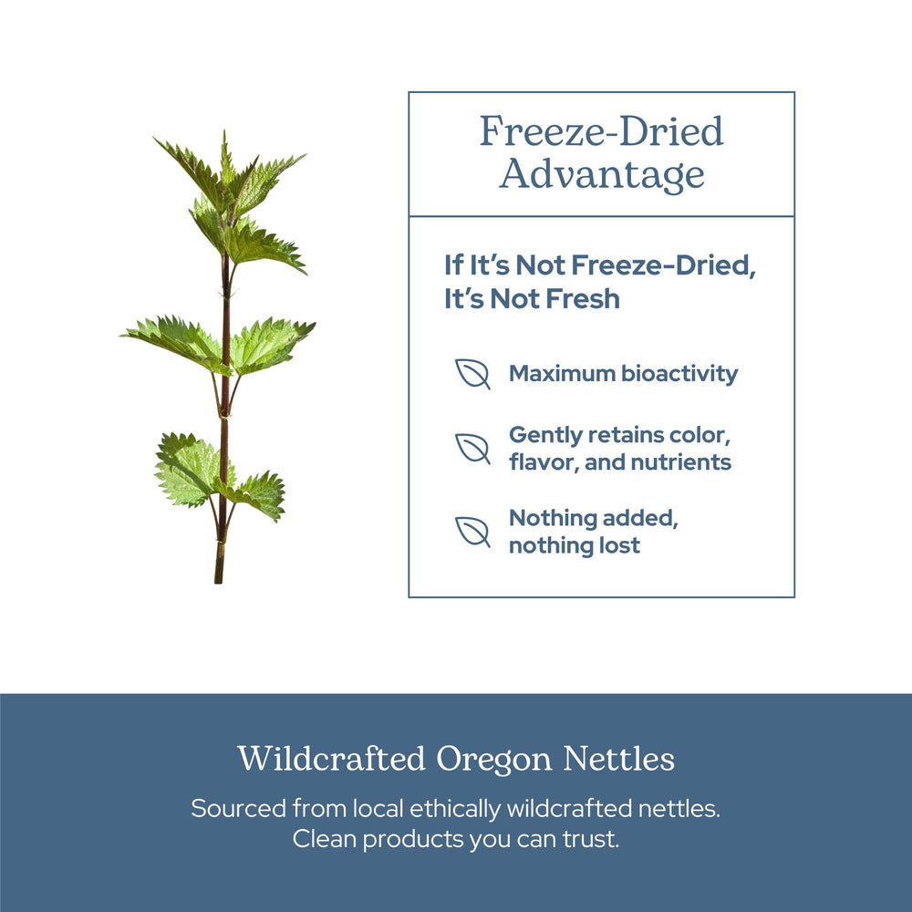 Eclectic Institute nettle leaf capsules dispensing action demonstrates easy daily use.