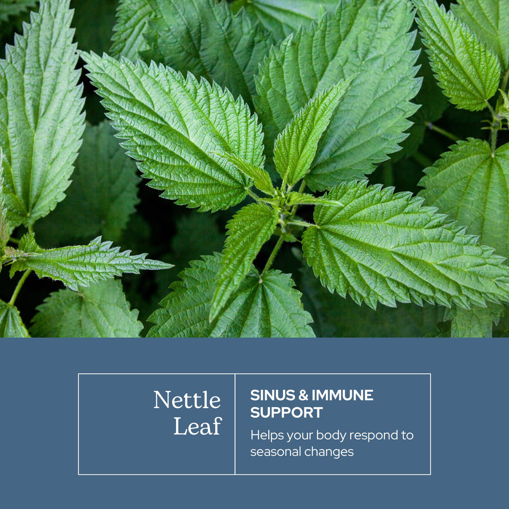Eclectic Institute nettle leaf capsules packaging shows vegan, non-GMO formula.