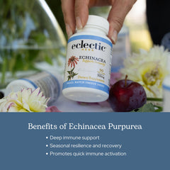 ECLECTIC INSTITUTE organic Oregon-grown echinacea field image conveys sustainable sourcing.