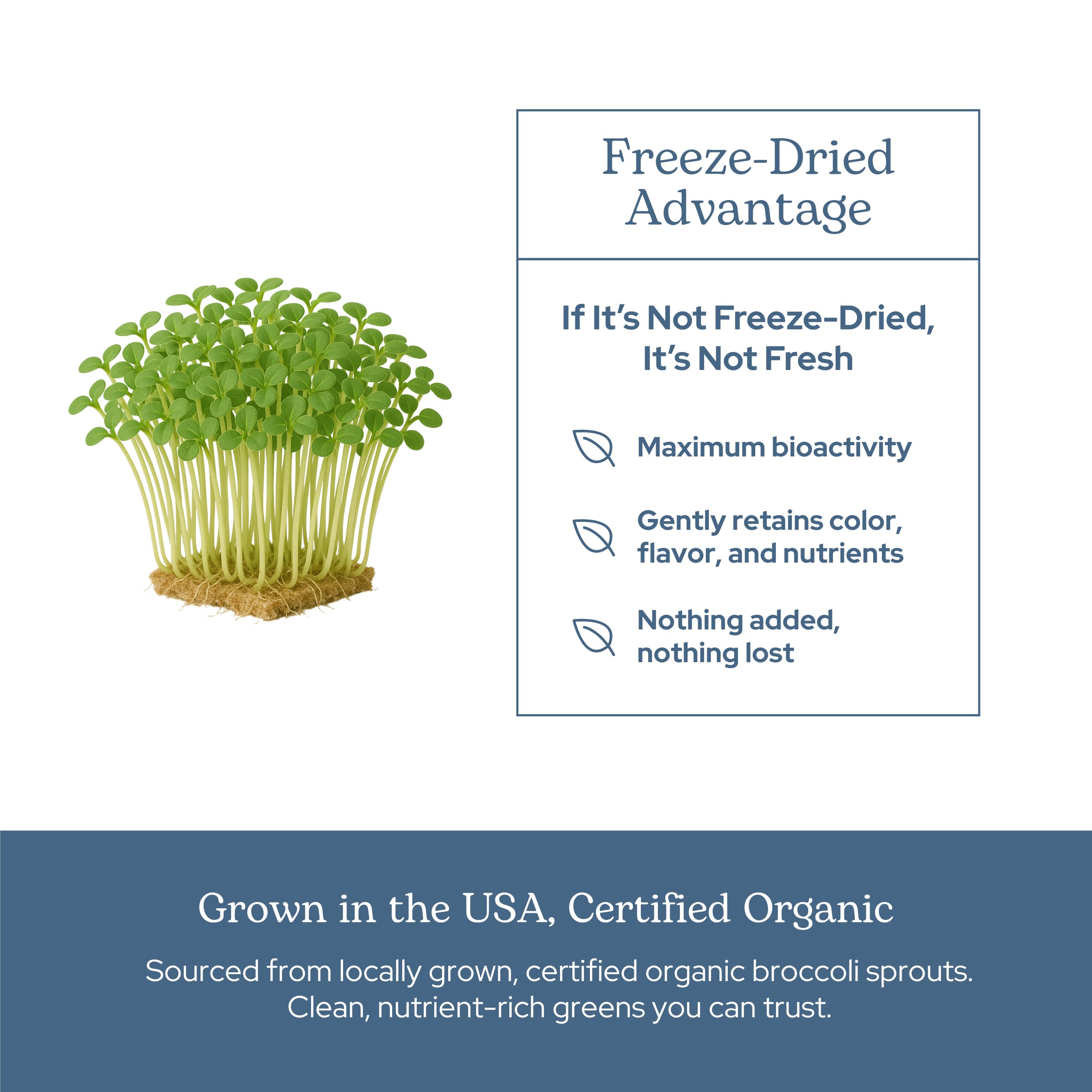 Eclectic Institute packaging emphasizes eco-friendly materials and plant-based, non-GMO claims.