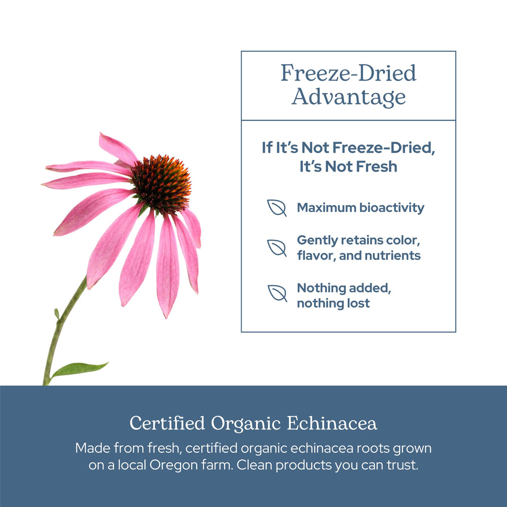 ECLECTIC INSTITUTE small-batch freeze-drying illustrates careful potency preservation.