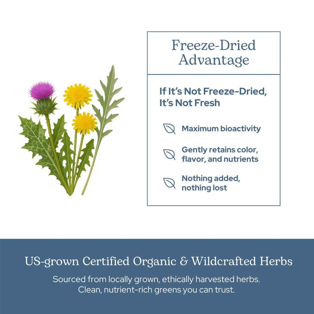 Eclectic Institute vegan, non-GMO label signaling plant-based wellness.