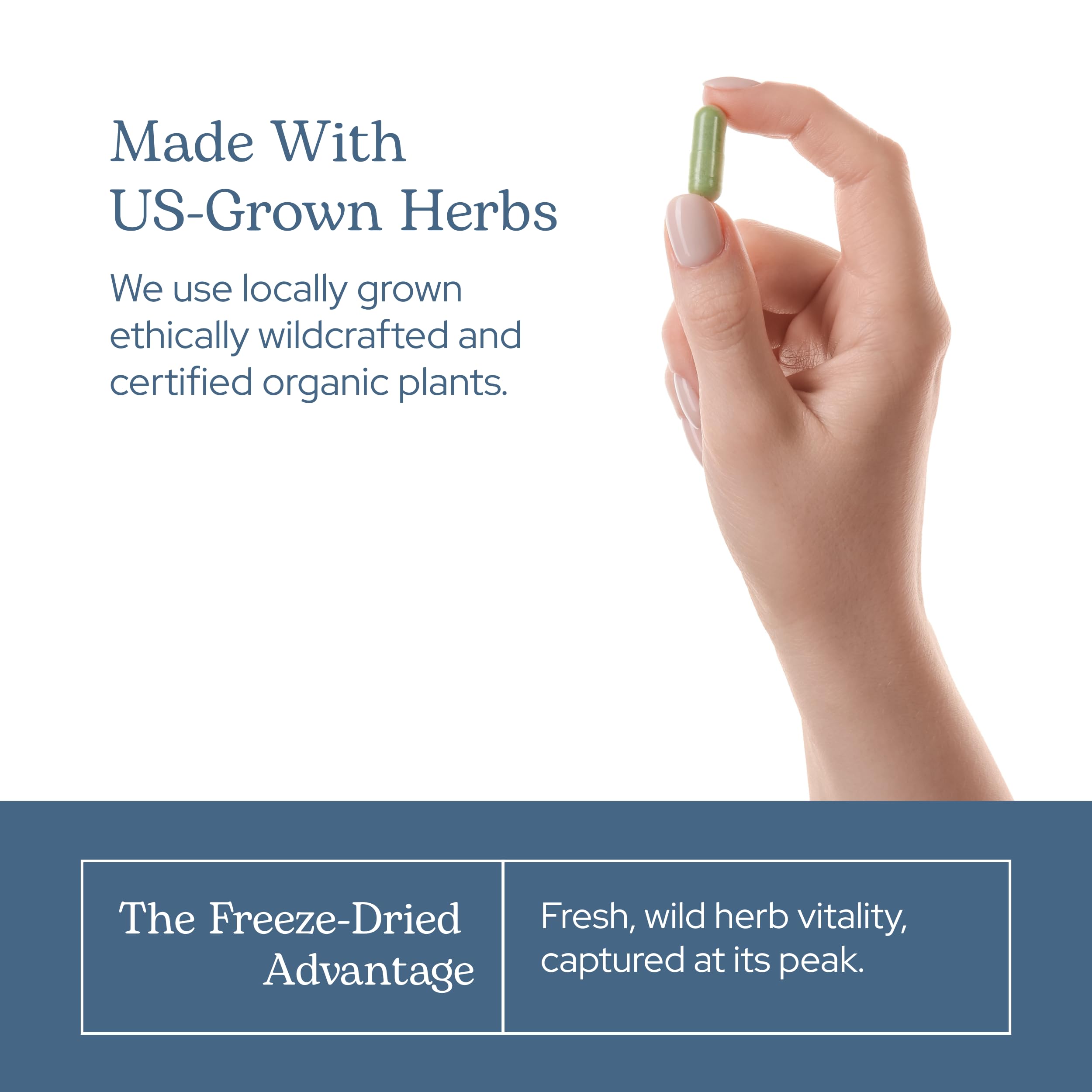 Eclectic Institute vitamins and minerals support immune health in a daily supplement.