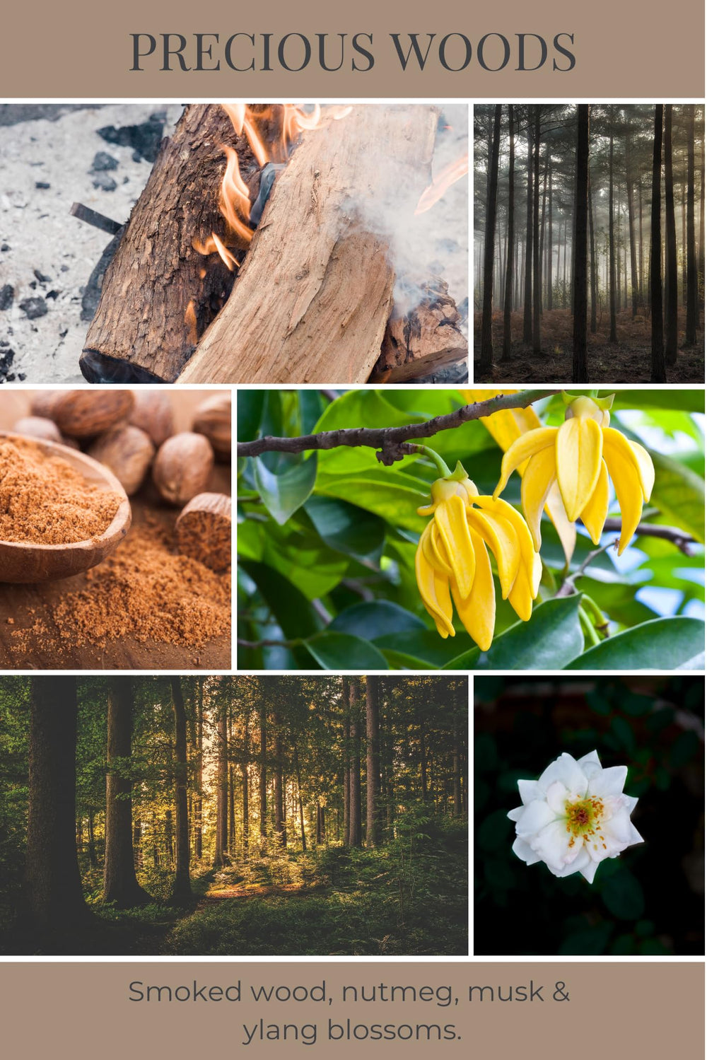 Eco Candle Co tea light smoked wood nutmeg ylang for cozy evenings.