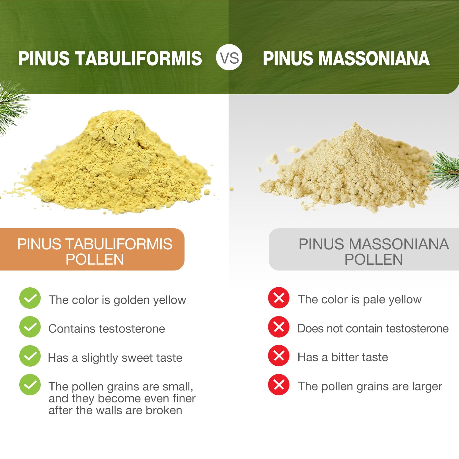 ECO-TASTE Pine Pollen Powder used as a cooking ingredient for flavor