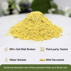 ECO-TASTE Pine Pollen Powder packaging back with details and certifications