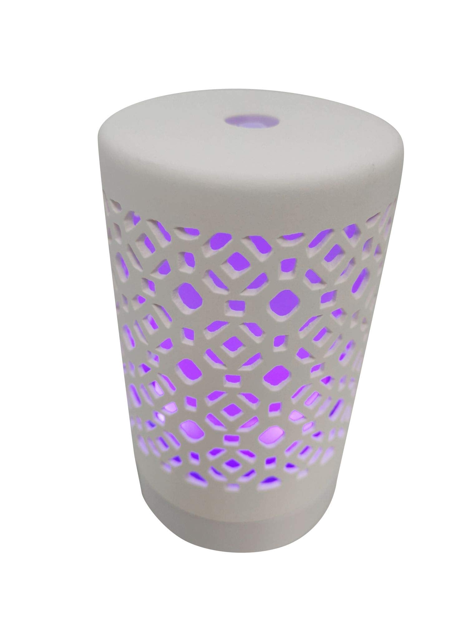 EcoGecko ceramic essential oil diffuser emitting fine mist for calming home ambiance.