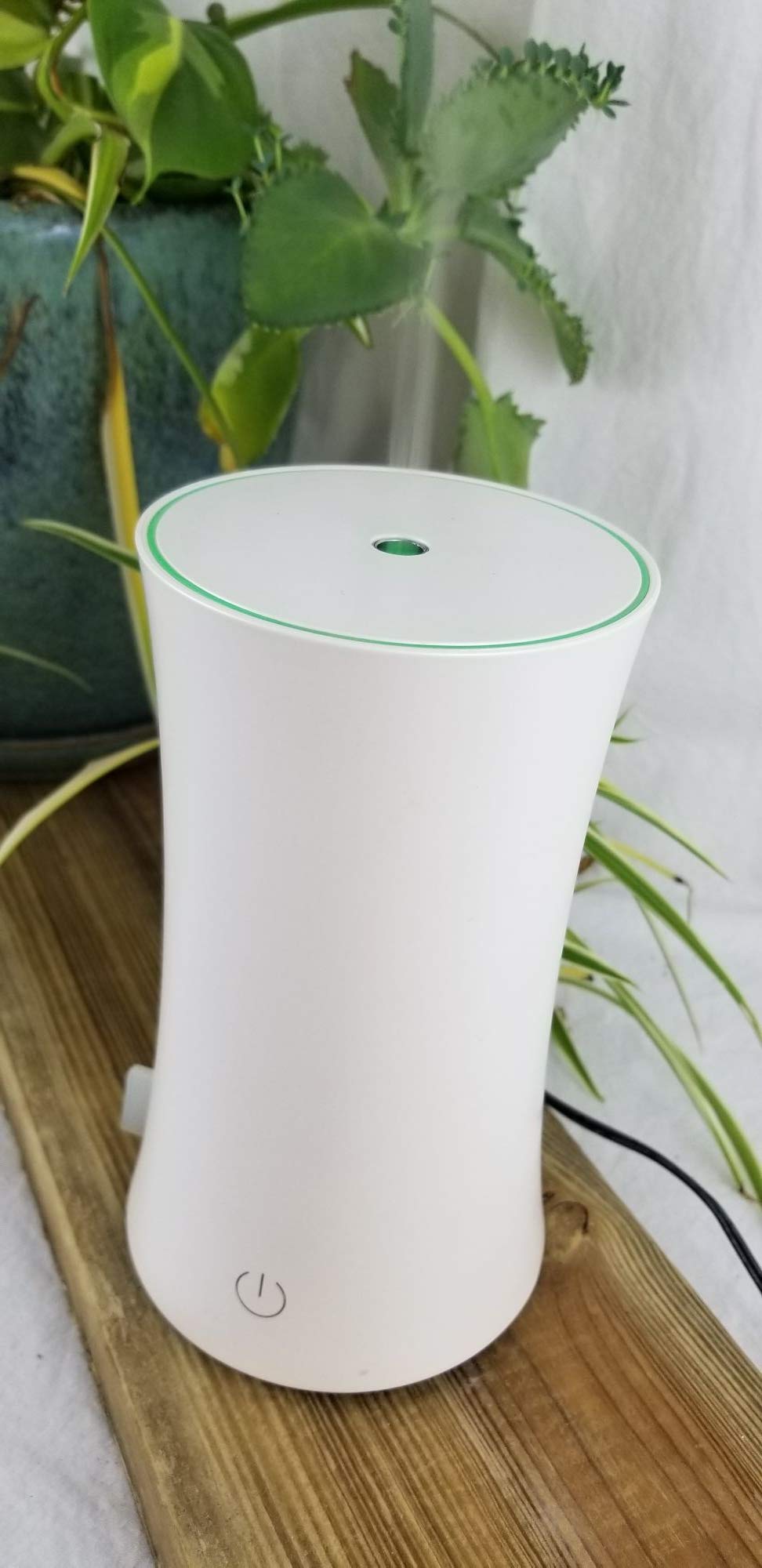 EcoGecko Clean Lines compact diffuser dimensions for small spaces