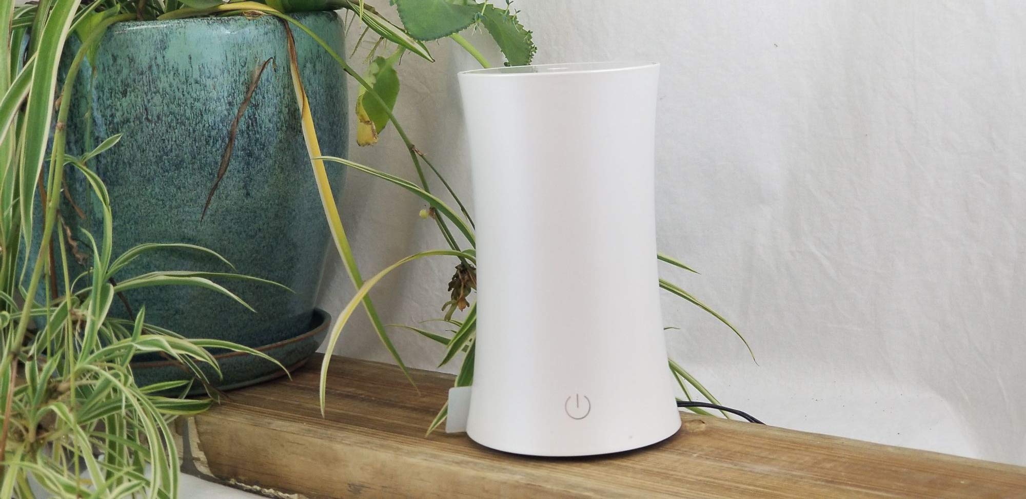 EcoGecko diffuser in Just Light mode for ambient decorative glow