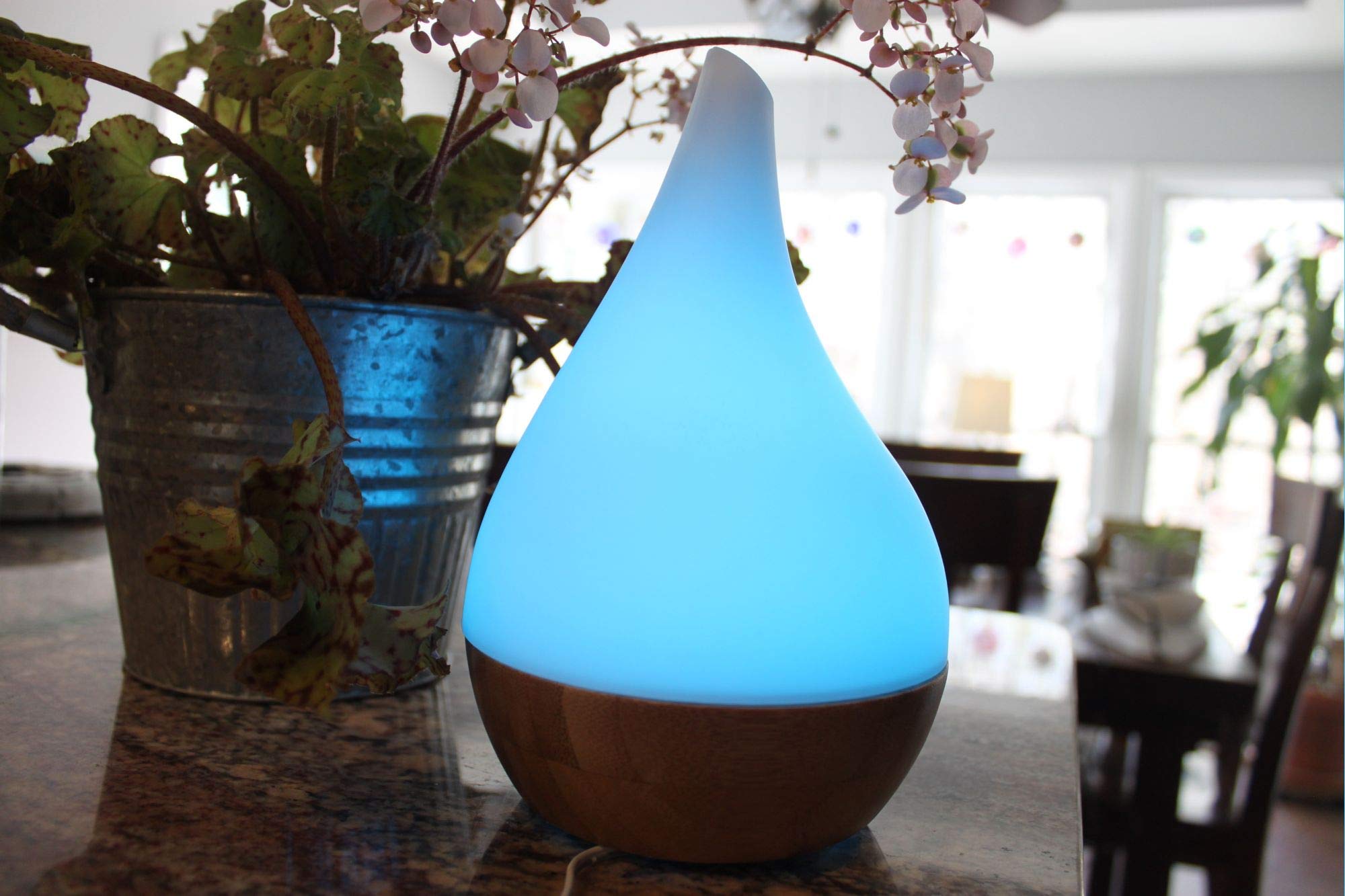 EcoGecko auto shut-off activates when water runs low