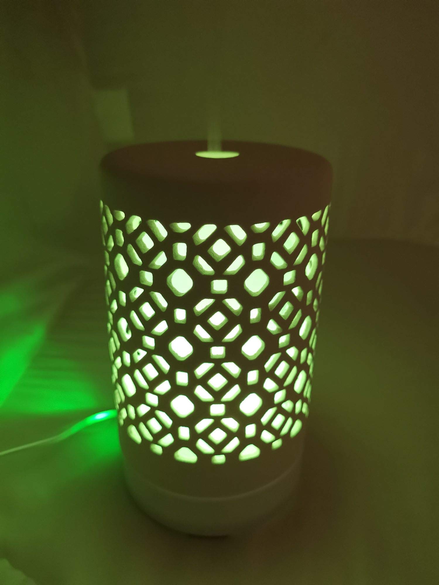 EcoGecko diffuser with rotating color light creates ambient atmosphere.