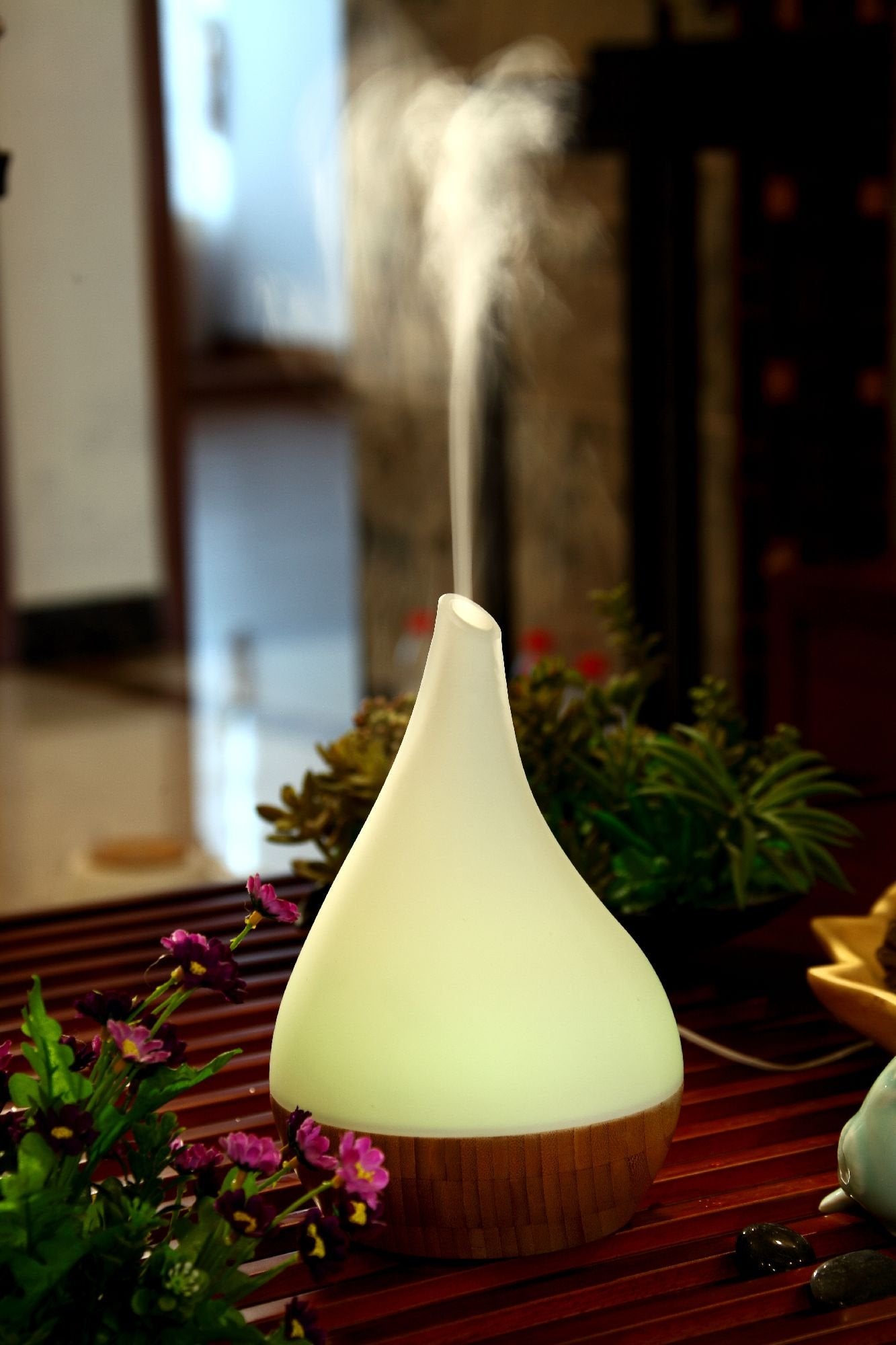 EcoGecko diffuser seven-color LED lights illuminate softly for mood