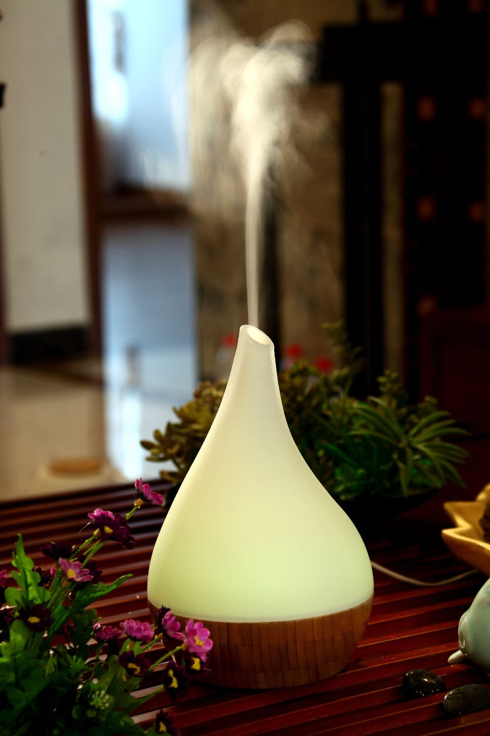 EcoGecko diffuser seven-color LED lights illuminate softly for mood