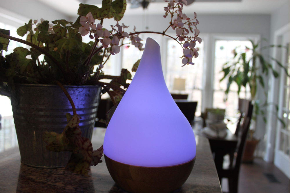 EcoGecko diffuser includes DV24V 12W adaptor for reliable power