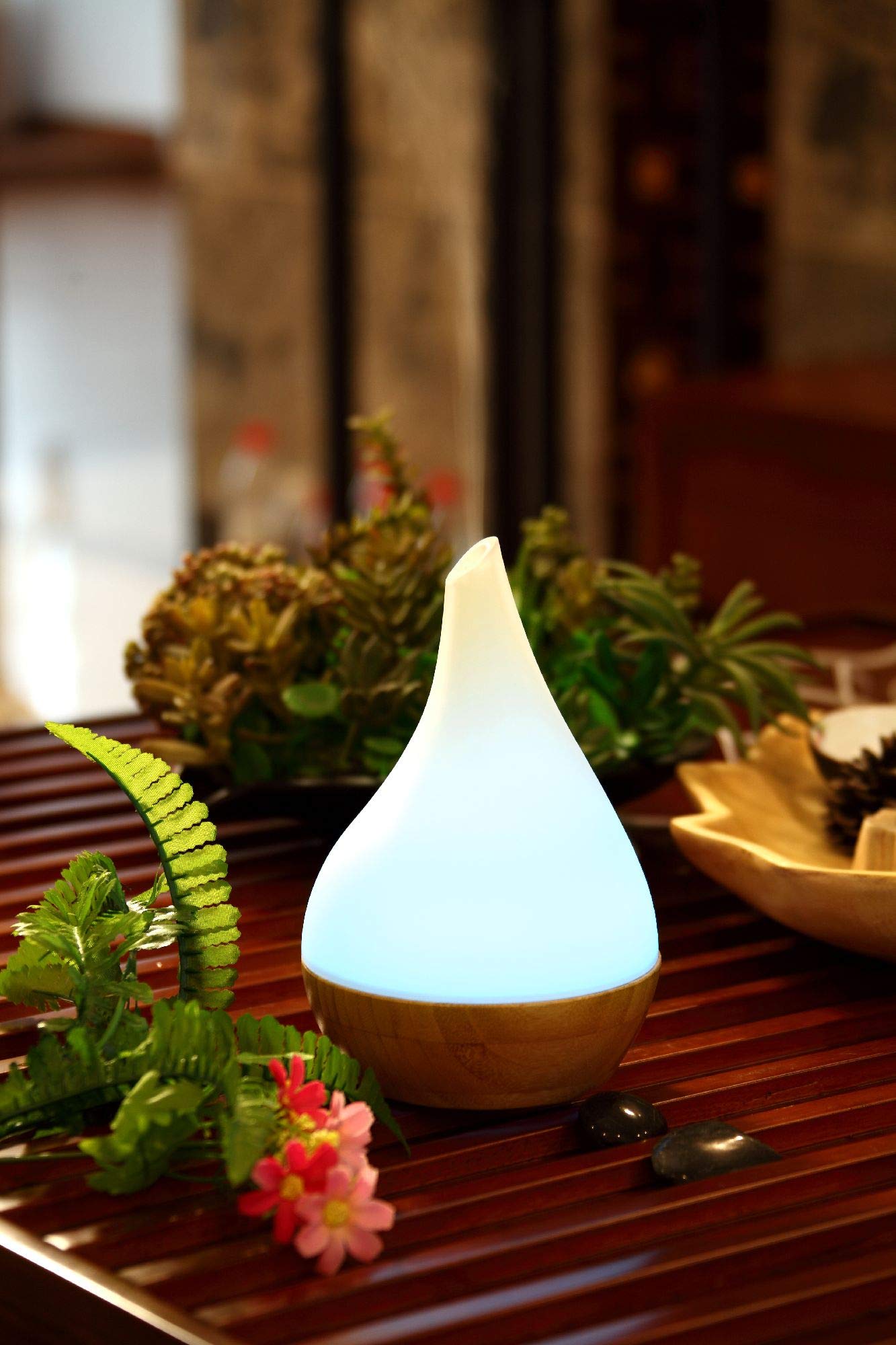 EcoGecko diffuser 80ml bowl supports up to 300 sq ft
