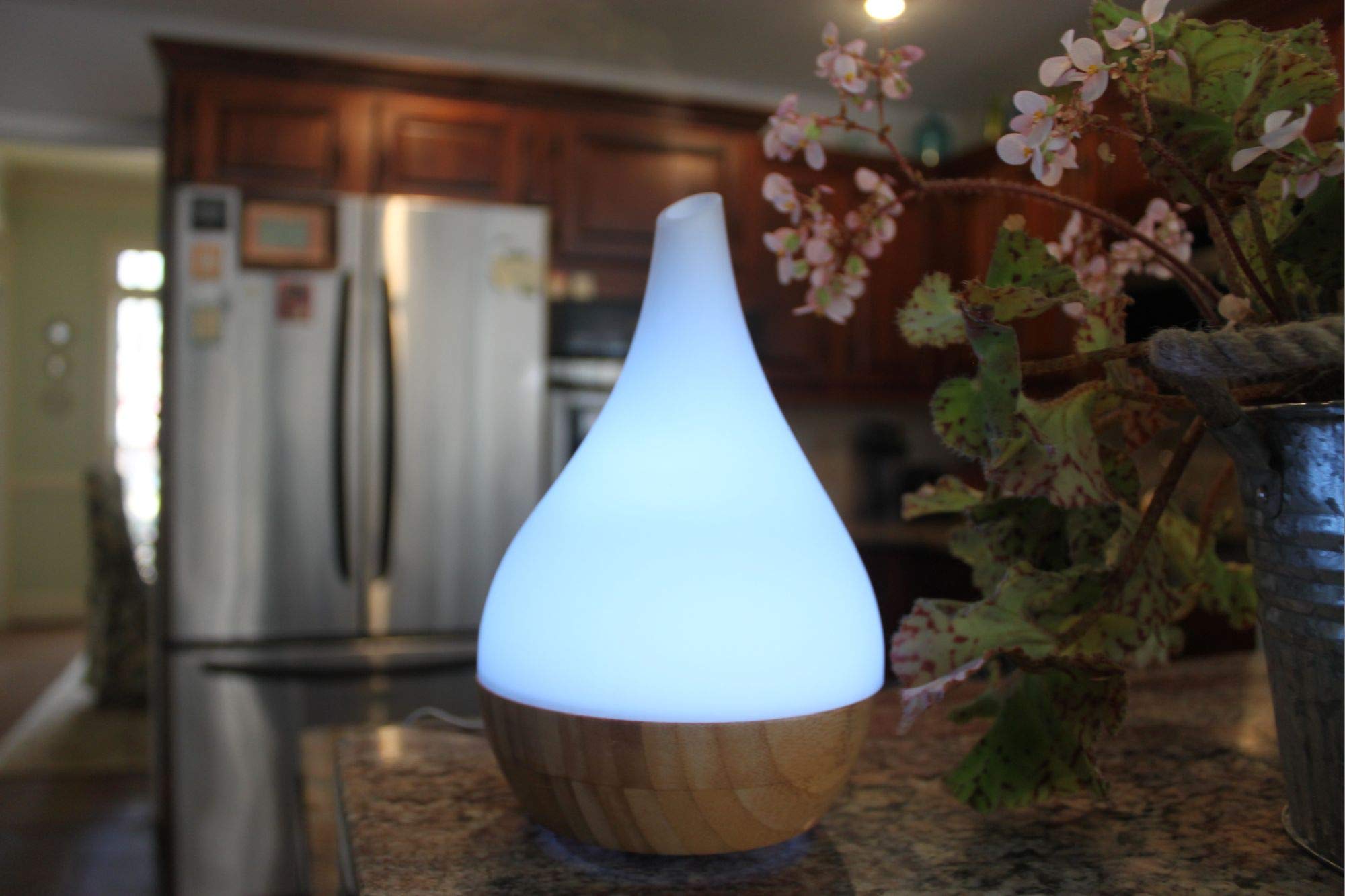 EcoGecko compact bamboo and glass design enhances decor
