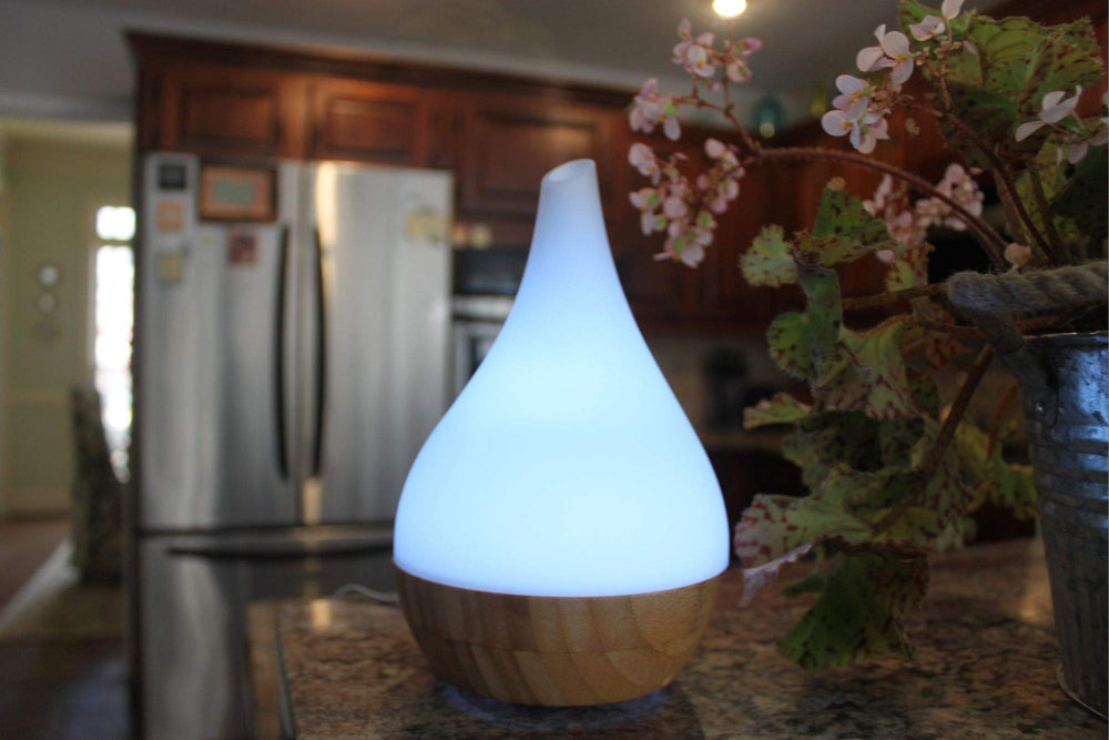 EcoGecko compact bamboo and glass design enhances decor