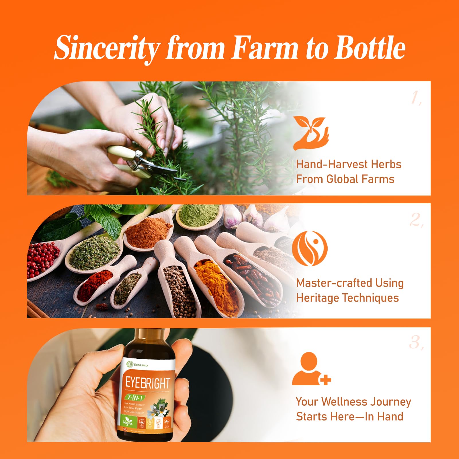 ECOLINIA Blueberry extract and lutein-zeaxanthin on label.