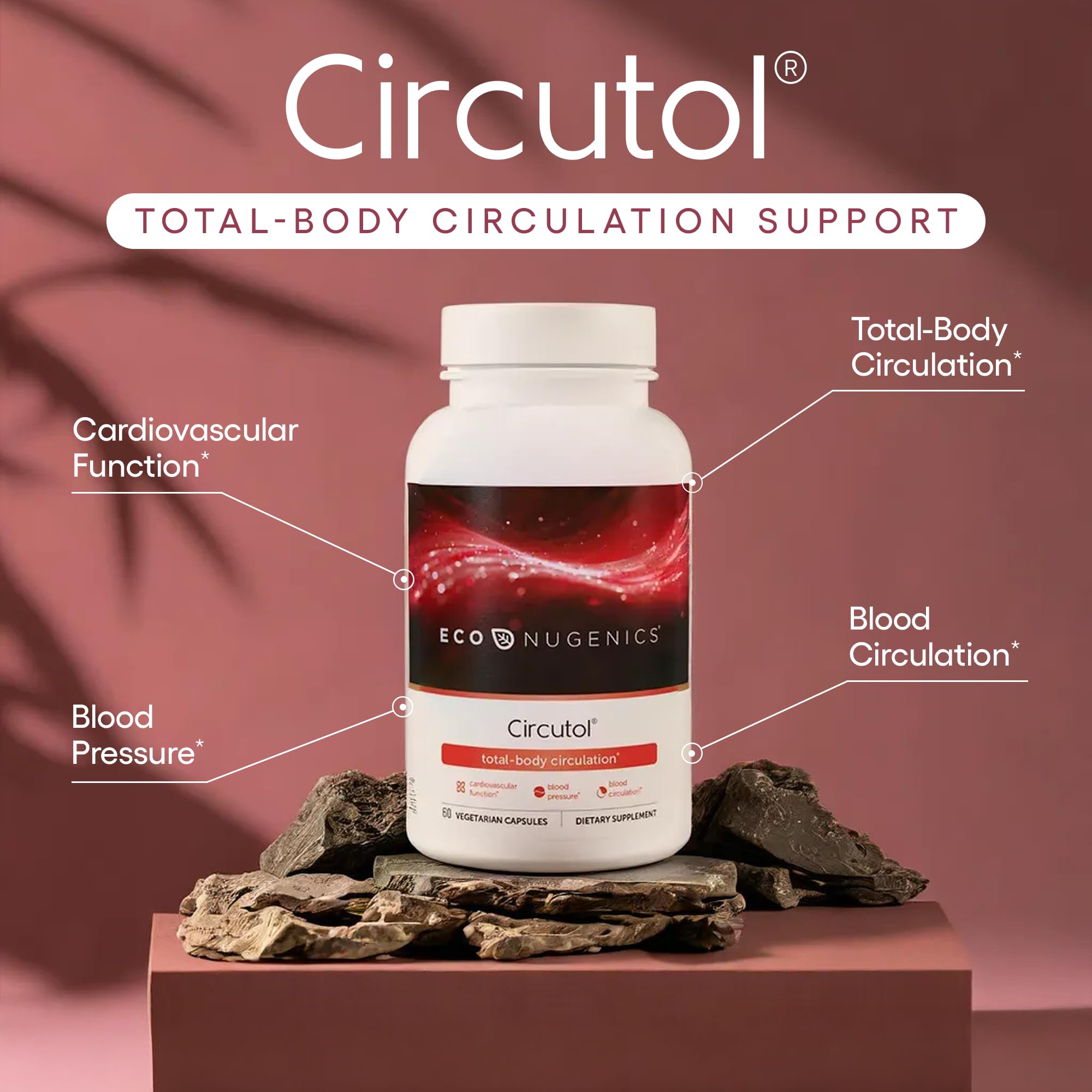 EcoNugenics Circutol ingredients close-up with nattokinase and botanicals.