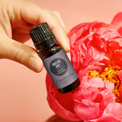 Diffuser setup with Edens Garden Angelica Root essential oil scent