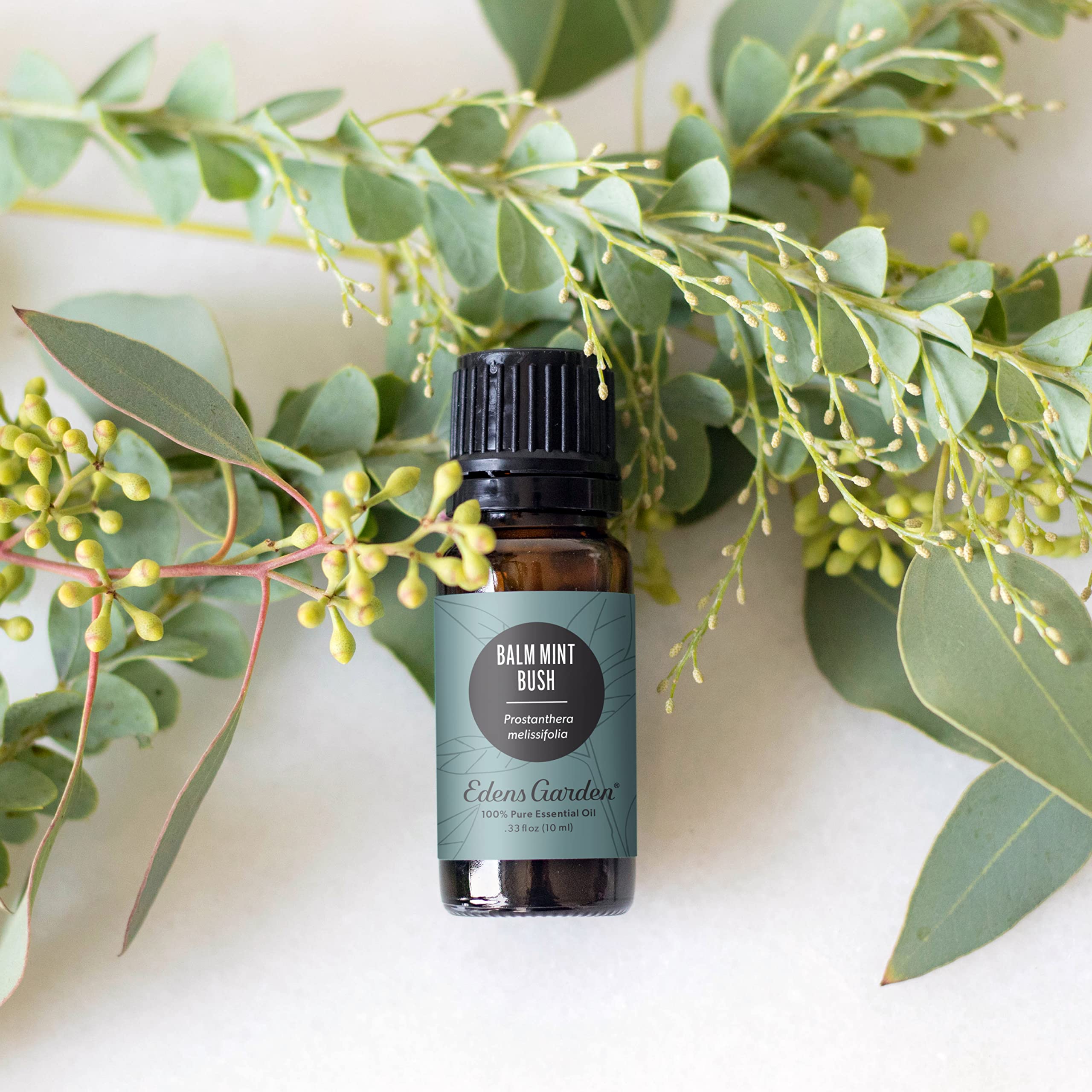 Edens Garden Balm Mint Bush oil ready for topical use when diluted.