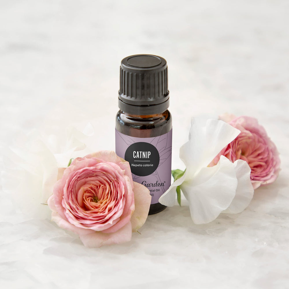 Edens Garden Catnip diffuser ambiance image enhances relaxing spaces
