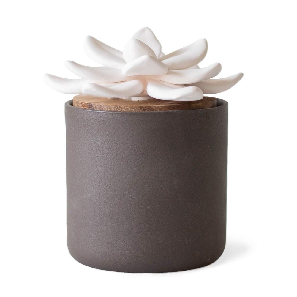 Edens Garden Charcoal Ceramic Bloom Diffuser image, showcasing elegant calm spaces.