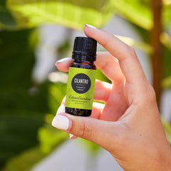 Edens Garden Cilantro Oil diffuser blend for bright herbal diffusion