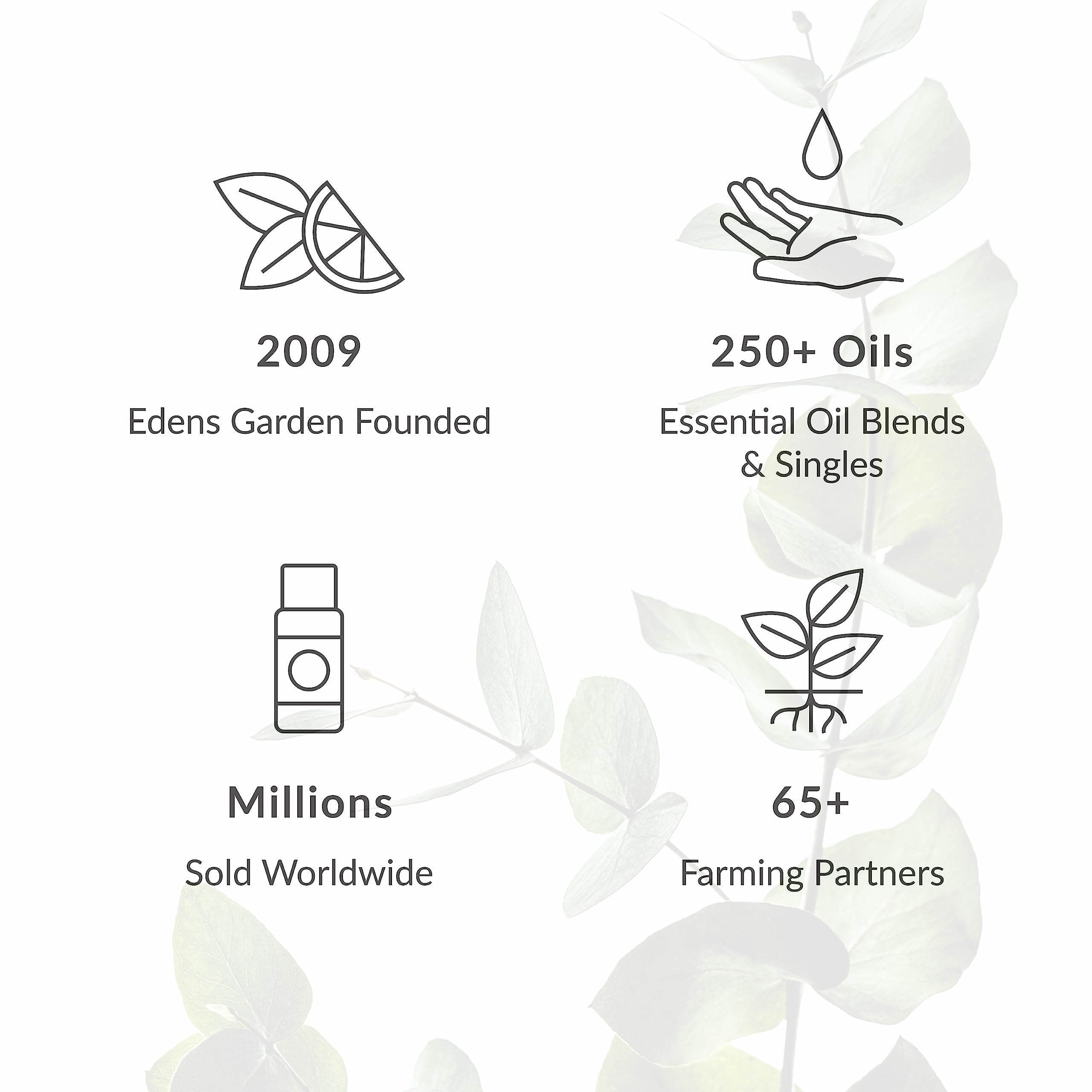 Edens Garden Cypress-Blue notes blend with cedarwood for a grounded aroma.