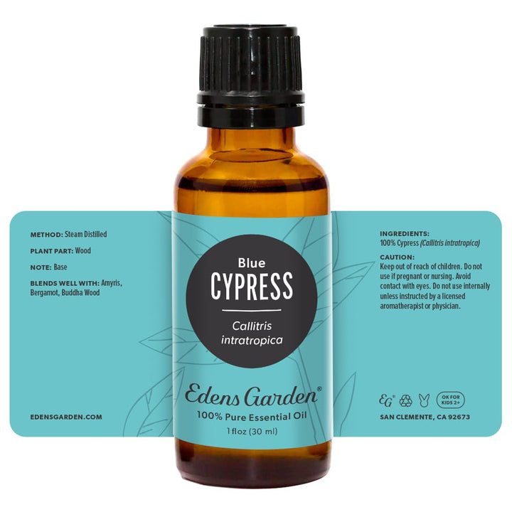 Edens Garden Cypress-Blue bottle on display inspires calm spaces.