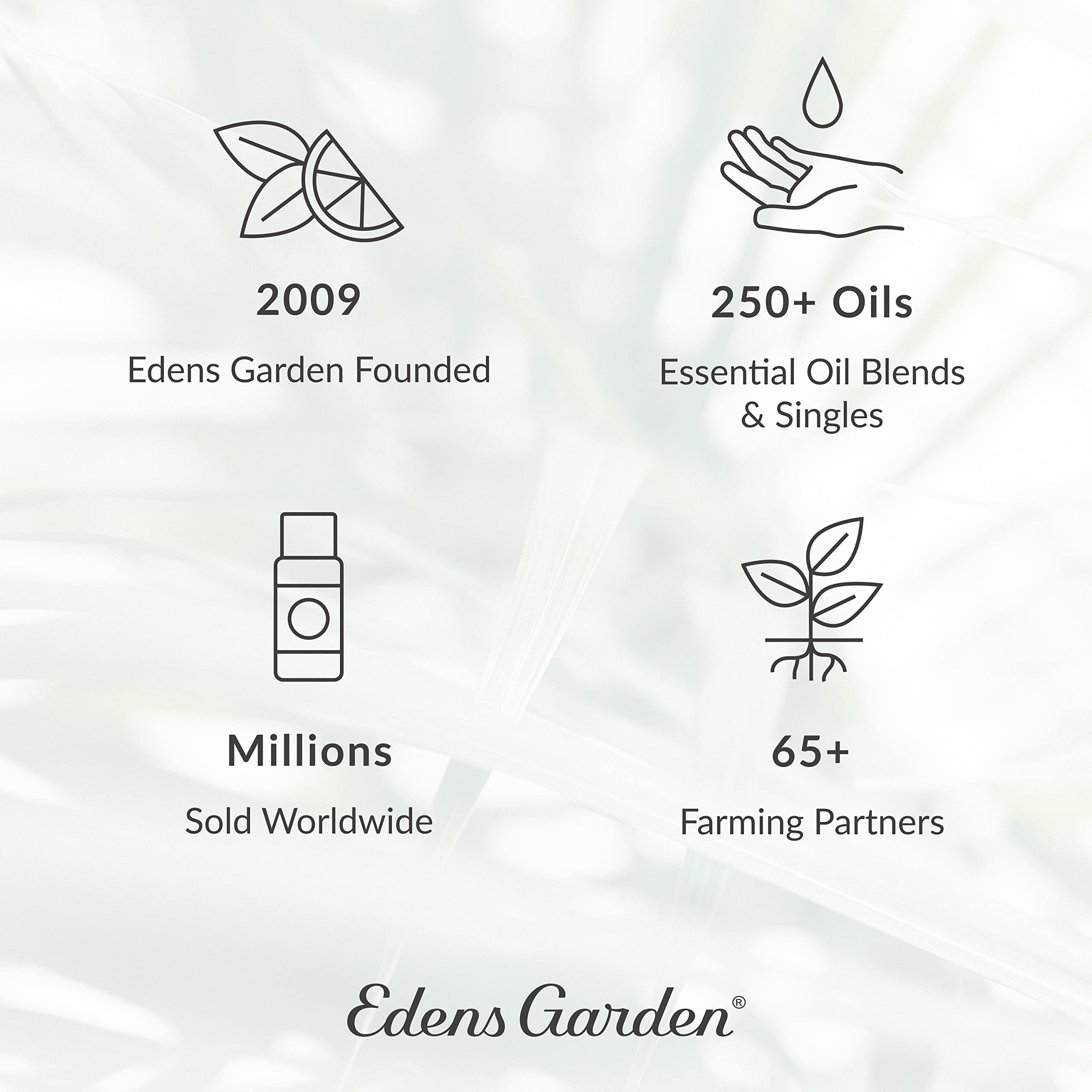 Edens Garden De-Stress 6-Set diffuser scene creates a calming ambiance.